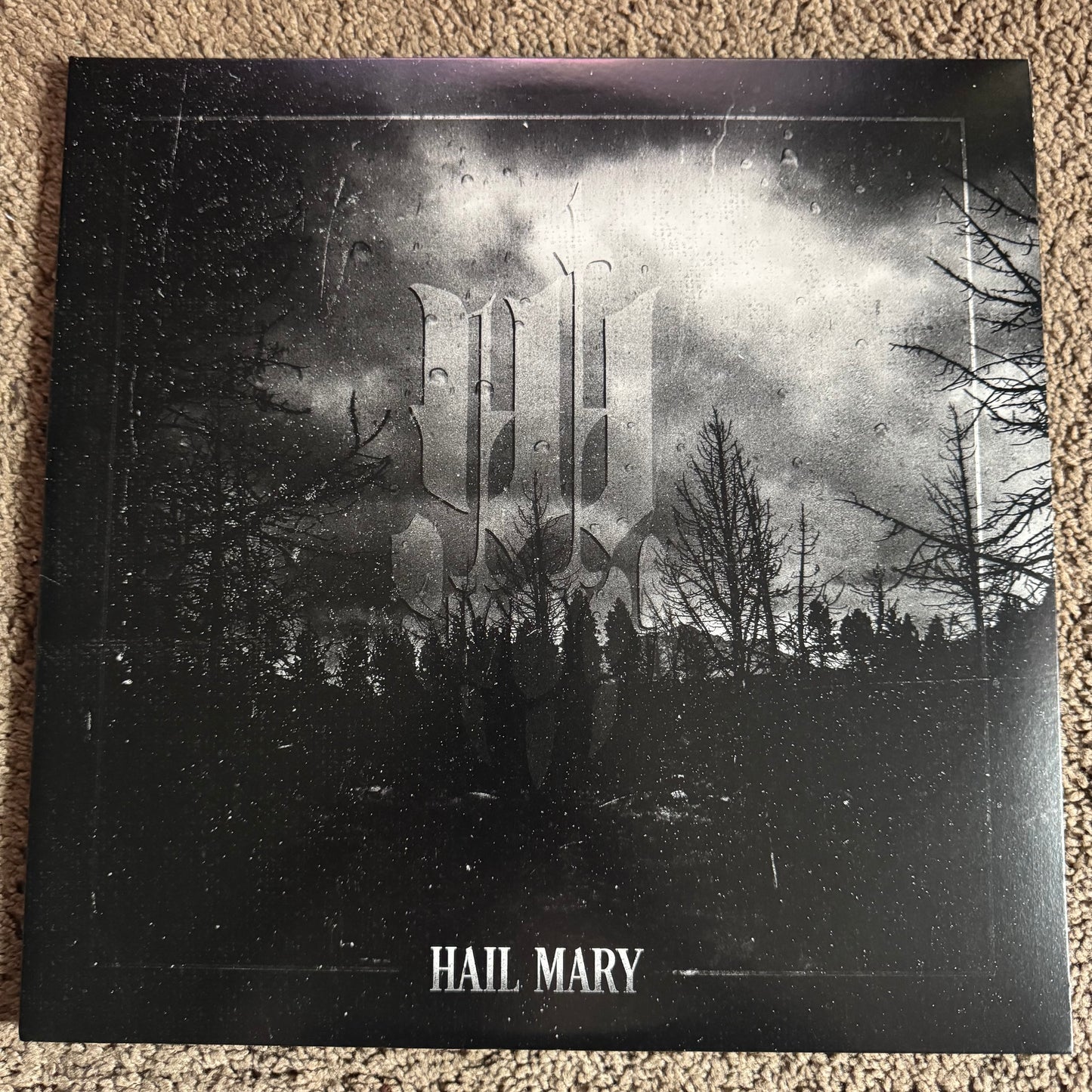 IWRESTLEDABEARONCE - HAIL MARY