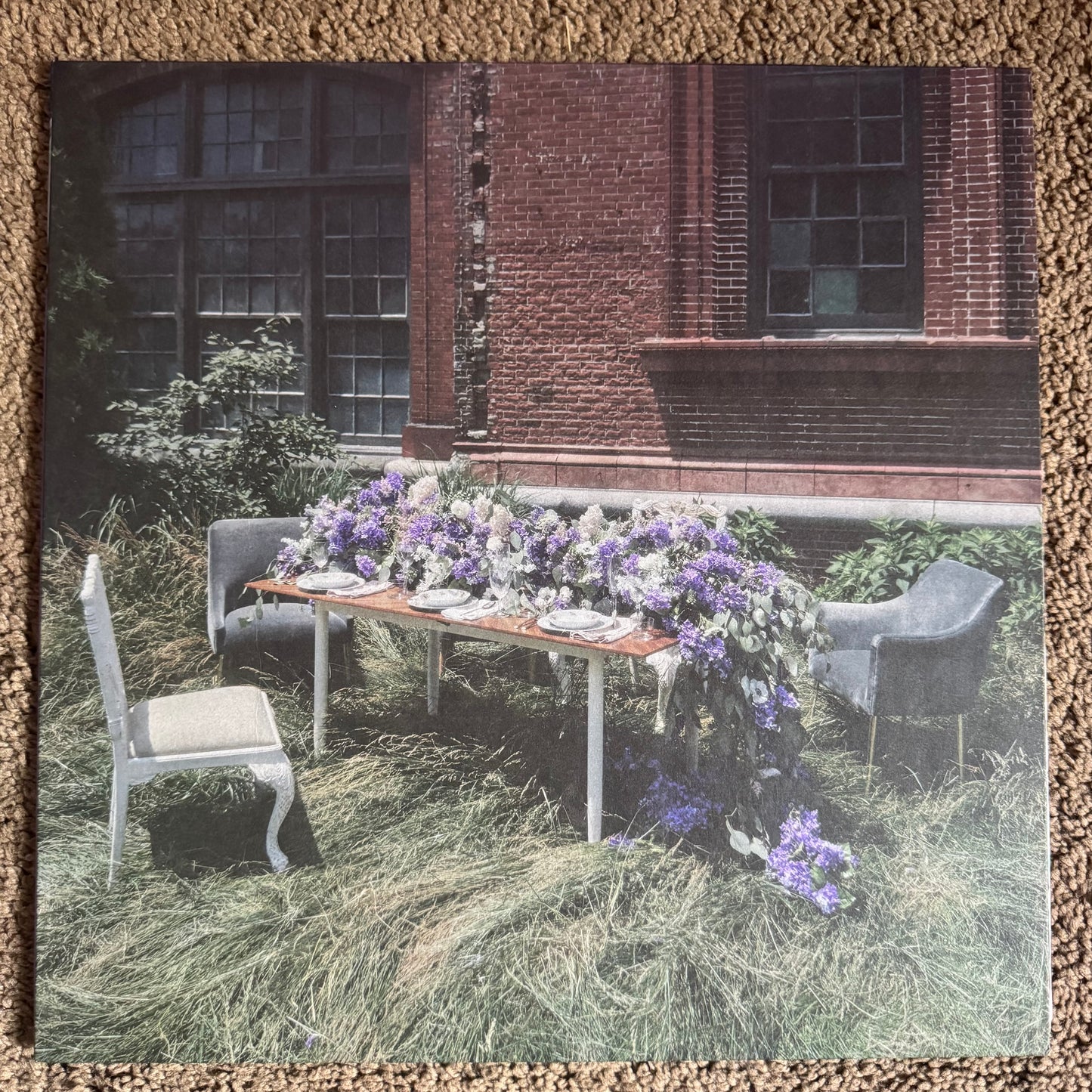THE EARLY NOVEMBER - LILAC