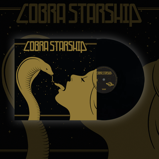 WHILE THE CITY SLEEPS, WE RULE THE STREETS - BLACK VINYL (PRE ORDER)