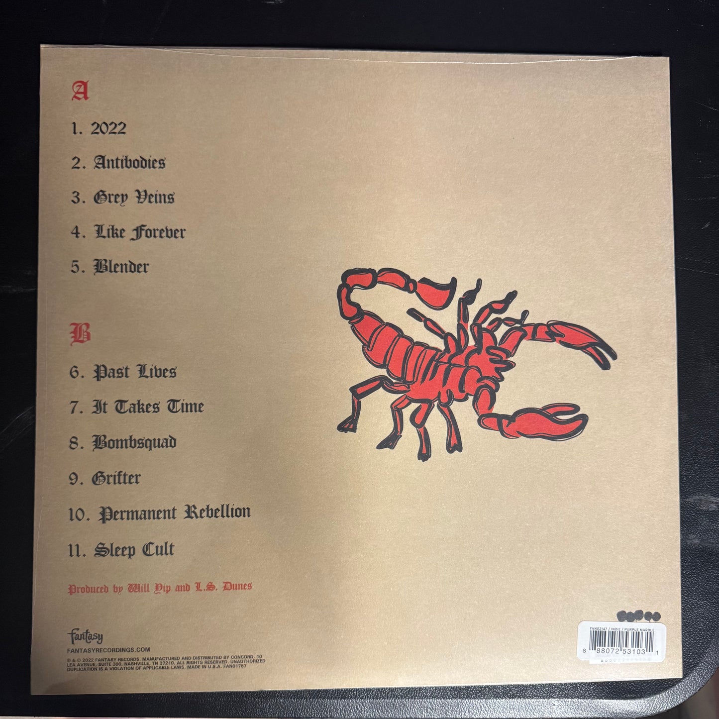 LS DUNES - PAST LIVES