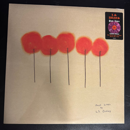 LS DUNES - PAST LIVES