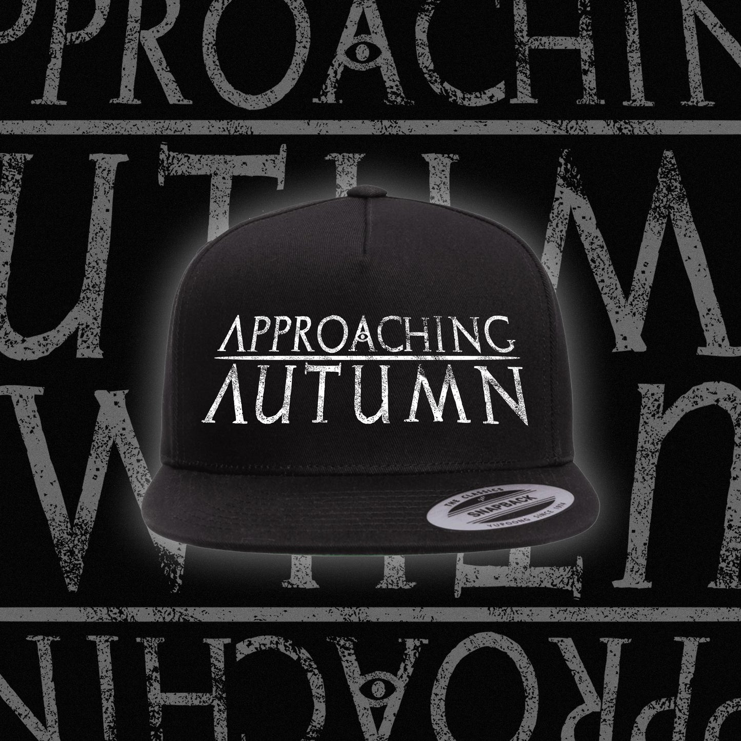 AA LOGO HAT