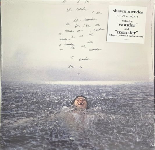 SHAWN MENDES - WONDER